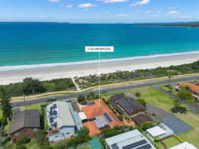 Collingwood Vincentia